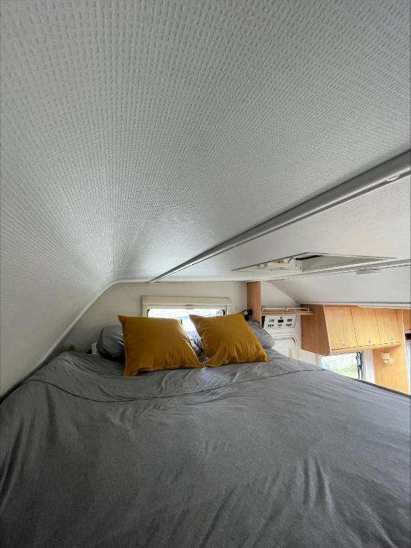 The Cosy Camper At Rockfield Park Hotel Galway Ngoại thất bức ảnh
